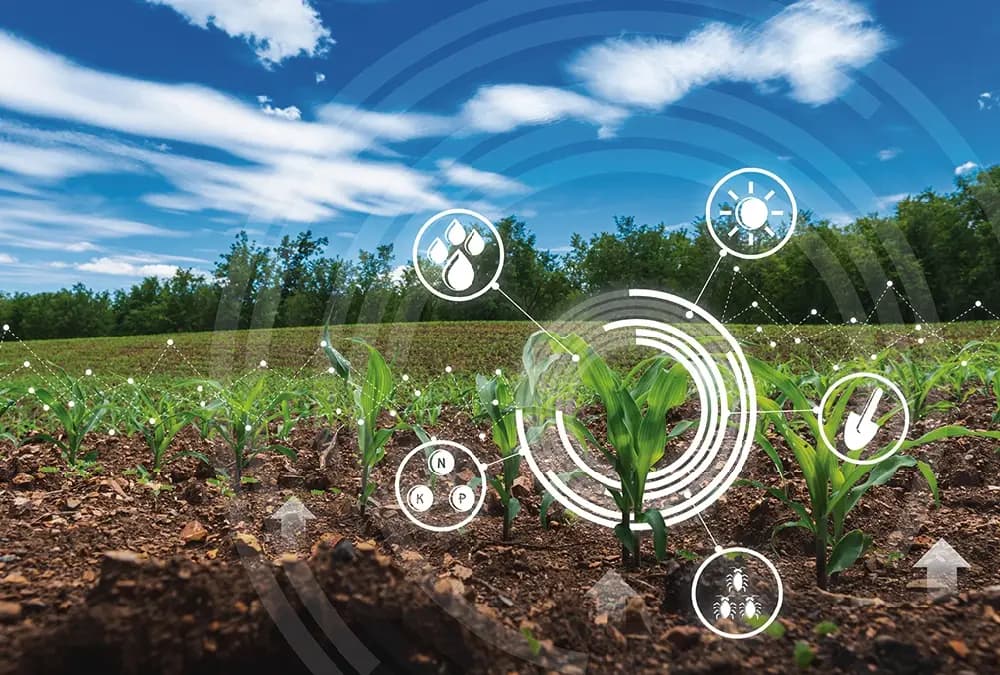 Traditional vs Smart Farming Comparison